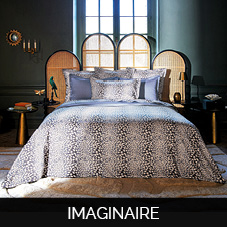 Ambre nuit